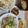 クック3IJVP1☆'s cooksnap of when they made さつまいもと竹輪のきんぴら.