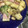 かいや's cooksnap of when they made 焼き芋のマヨマスタード和え.