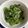 gohanちゃん's cooksnap of when they made 春菊のごま和え.