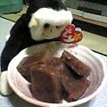 サンソン's cooksnap of when they made ところてんから水羊羹.
