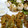 subaru2007's cooksnap of when they made 失敗知らず　白魚と玉ねぎのかき揚げ.
