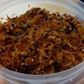 しらたまこむぎ's cooksnap of when they made ５分で完成～あみえび(おきあみ)ふりかけ.