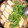 ㅋㅋ船長's cooksnap of when they made 我が家の♪きりたんぽ鍋.