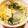fuka6616's cooksnap of when they made ❃菜の花と大根のジンジャーミルクスープ❃.