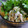 kazz72's cooksnap of when they made ＊ささみのＷおろしサラダ＊.
