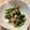 クックD3KG09☆'s cooksnap of when they made さっぱり！春菊とツナのおひたし.