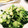 クックE662AA☆'s cooksnap of when they made 小松菜とベーコンのさっと炒め.