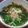 あっこ姉's cooksnap of when they made セリととろろ昆布の温かいお蕎麦.