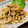 ＊＊もっさん＊＊'s cooksnap of when they made 【簡単おつまみ】筍のポン酢炒め♪.