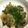 クロクロクローバー's cooksnap of when they made 大根のサバ缶煮☆.
