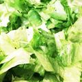 クッキン坊主's cooksnap of when they made レタスの白ワインビネガーサラダ.