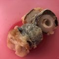 ユカtoマオマオ's cooksnap of when they made 竹輪チーズ詰めのり巻き揚げ.