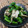 料理男子部's cooksnap of when they made つるむらさきと舞茸のおひたし.