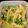 Tklsin's cooksnap of when they made レタスおひたし！レタス大量消費.