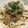 クックM6DK2O☆'s cooksnap of when they made ぱぱっとダシ汁でとろろ昆布と納豆おうどん.