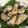 ちゃーりーWKY's cooksnap of when they made 牡蠣のバター醤油炒め.