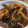 クックN3XI88☆'s cooksnap of when they made 低カロリーでとろとろの 豚の角煮.