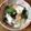 ☆コロ♡'s cooksnap of when they made 豆腐とチンゲン菜の中華風　安く簡単　時短.