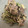 ぴよぴよもも's cooksnap of when they made レタスと豚肉の卵炒め.
