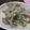 tamiko54's cooksnap of when they made こまい（氷下魚）ほぐし☆みそ漬け.