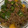 海老ふりゃ〜's cooksnap of when they made かぼちゃのそぼろあん.