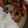 万華月's cooksnap of when they made 人参とじゃがいもの豚肉巻き.