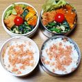 ﾋﾟﾛﾐ♡'s cooksnap of when they made 鮭の塩そぼろ～お手製サケフレーク.