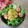 クックI7I5L1☆'s cooksnap of when they made 簡単✨かぼちゃのワサビマヨ✨あえ.
