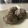 クックCQKUDL☆'s cooksnap of when they made 簡単マロングラッセ.