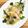 horseland's cooksnap of when they made ホタテのカルパッチョ.