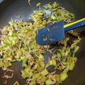 クックAYESFL☆'s cooksnap of when they made 常備菜に…かぶの葉としらすの炒め煮！.