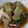 ソラねこ22's cooksnap of when they made 厚揚げとしろ菜の煮物.