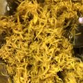 クック6QTZD9☆'s cooksnap of when they made 菊の酢の物♪.