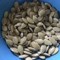 えるみちゃん's cooksnap of when they made かぼちゃの種を簡単に洗う方法.
