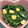 ひぃちゃんひー's cooksnap of when they made ほうれん草とコーンの洋風マヨ和え.