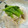 なおきんとん's cooksnap of when they made 柿とさつまいもの和風マヨ和え.