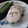 チョンまげ氏's cooksnap of when they made *とりはむ*.