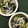 平井道子's cooksnap of when they made しらすとわかめときゅうりの酢の物.