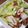 クックEL7LRI☆'s cooksnap of when they made ハヤトウリとちくわの炒め物.