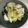 ケメラルド's cooksnap of when they made 白菜の漬物.