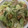 かおり♡♡♡'s cooksnap of when they made えびときゃべつのオイスター炒め♥.