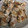snow012's cooksnap of when they made 簡単！白菜の肉巻き☆梅マヨソテー.