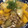 なるべく簡単に's cooksnap of when they made 冬瓜とかぼちゃのとろ旨煮♪.
