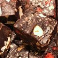 atsu＊＊＊18's cooksnap of when they made 糖質制限に！ファットボム(チョコトリュフ.