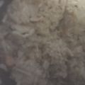ma___111's cooksnap of when they made ✿バター風味♡鶏ときのこの炊き込みご飯✿.