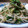 しげちよ's cooksnap of when they made 「給料日前の」もやしとにらだけ♪.