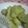 べぇちゃんmama's cooksnap of when they made アボガド天ぷら！！.