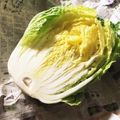 kisr1010's cooksnap of when they made レタス、白菜、キャベツの、長期保存方法！.
