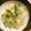 クック1QPX81☆'s cooksnap of when they made 即席10分♪白菜とシーチキンの炊いたん.