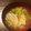 けんしんパパ's cooksnap of when they made 捨てるとこなし！我が家のカブのお味噌汁.